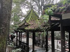 -缙云山景区