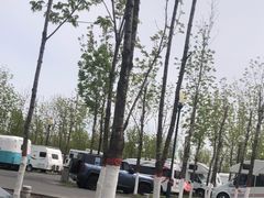 -哈尔滨大剧院