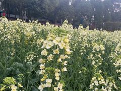 -洪湖家庭农场·团建·露营·会议