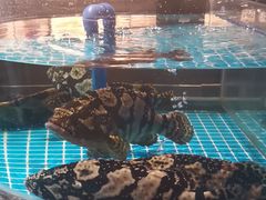 -百富源·海鲜辽菜(张士店)