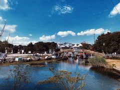 -莲花岛景区