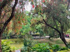 -人民公园(罗湖区)