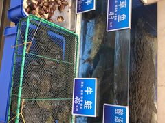 -双井轩(双井店)