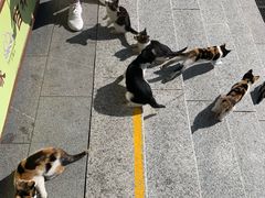-六鼎山文化旅游区