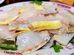 -金砂阿洲鱼册店