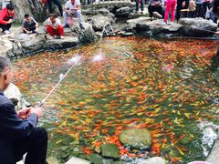 -廊坊市自然公园