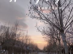 -水西公园