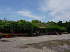 -绿野餐厅(上海动物园店)