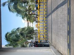 -海口市第一中学