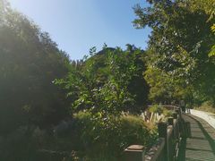 -金龙寺国家森林公园