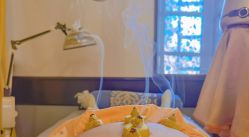 -保丽宝泰母婴护理院·月子中心·产康·中医(常州店)