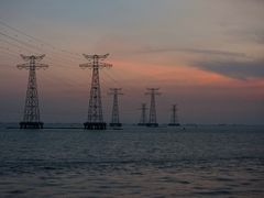 -宝安西湾红树林湿地公园