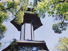 -上海佘山国家森林公园天马山园