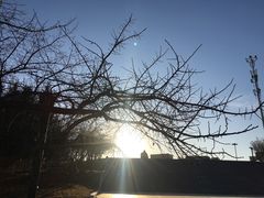 -长春世界雕塑园冰雪艺术天地