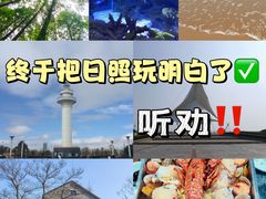 -渡海小渔村.老辈日照菜