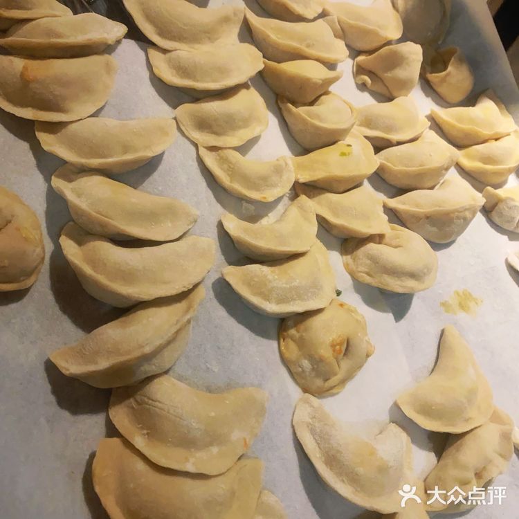 狐狸爱上椰子鸡我们一起吃饺子🥟