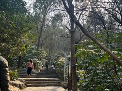 -云龙山