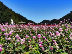 -广州市石门国家森林公园