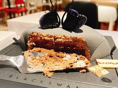 -BLACKSWAN黑天鹅(环球店)