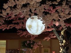 -蓝鲸湾汤泉(包河店)