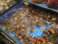 -东海怡品海鲜豆捞(星街坊店)