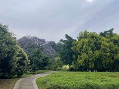 -张坝桂圆林公园