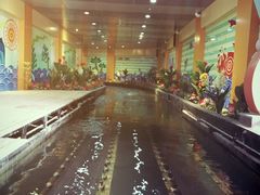 -济南方特东方神画