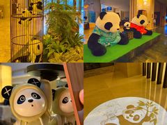-成都保利公园皇冠假日酒店(熊猫基地店)