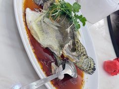 -轩记海鲜餐厅·四十五年老字号·经典粤菜(西区彩虹店)