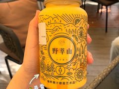 -野萃山·潮汕厚果汁(十亩地店)