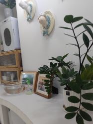 -纸飞机儿童摄影(远洋店)