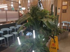 -润园四季椰子鸡火锅(南山海岸城店)