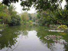-广西壮族自治区药用植物园