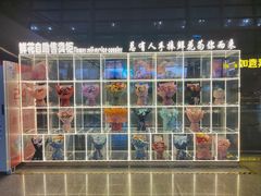 -常州奔牛国际机场