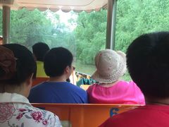 -大湾区中央湿地公园