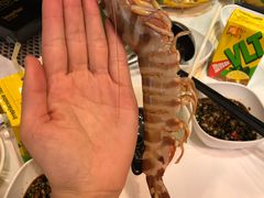 -鲜入围煮花胶鸡海鲜火锅