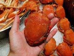 -安蒂娅·海鲜自助餐厅(安蒂娅美兰酒店)