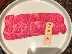 -老乾杯(深圳湾万象城店)