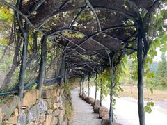 -磐安舞龙峡景区