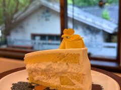 -竹子咖啡bamboo coffee
