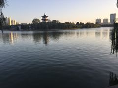 -莱西月湖公园