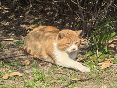 -华东政法大学(松江校区)