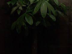-LANN I 蘭 泰式古法按摩(徐家汇城开YOYO店)
