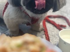 -麦当劳(北苑秋实路店)