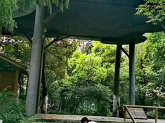 -成都市活水公园