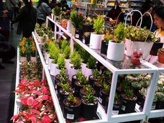 -KKV(深圳宏发大仟里店)