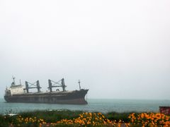 -威海国际海水浴场旅游区