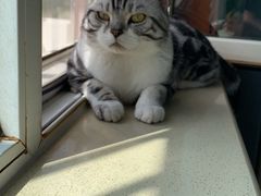 -中农国际动物医院24小时·猫科·骨科·急重症中心