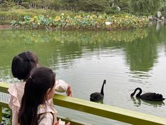 -燕郊植物园