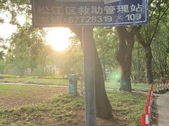 -上海佘山国家森林公园天马山园